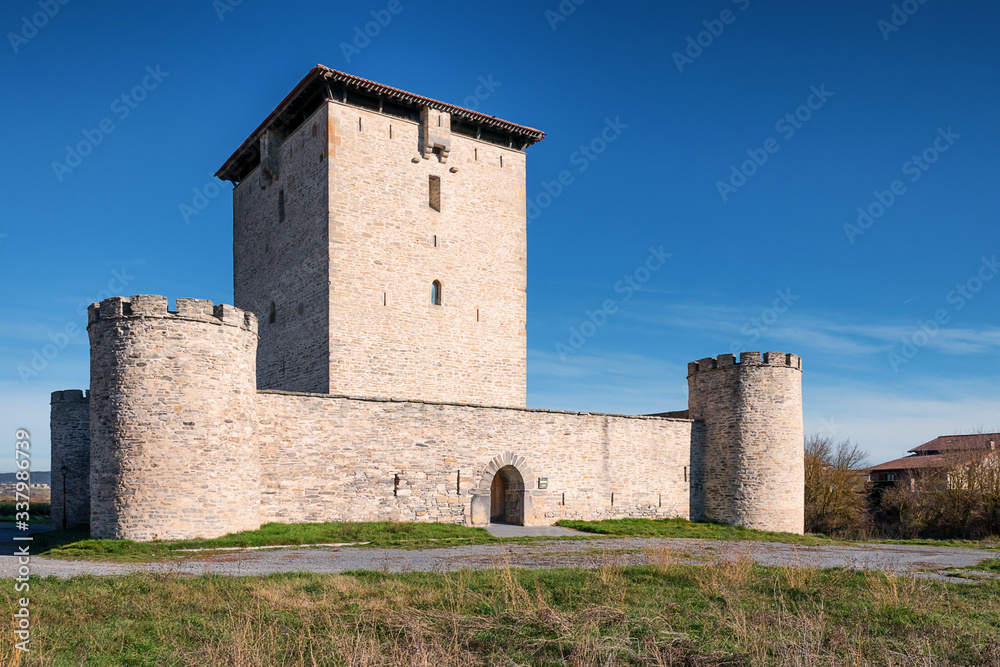 View of Mendoza Castle/Mendoza Tower near Vitoria-Gasteiz, Alava, Basque Country, Spain