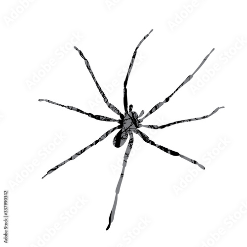 Vector silhouette of spider with trees on background. Symbol of insect.