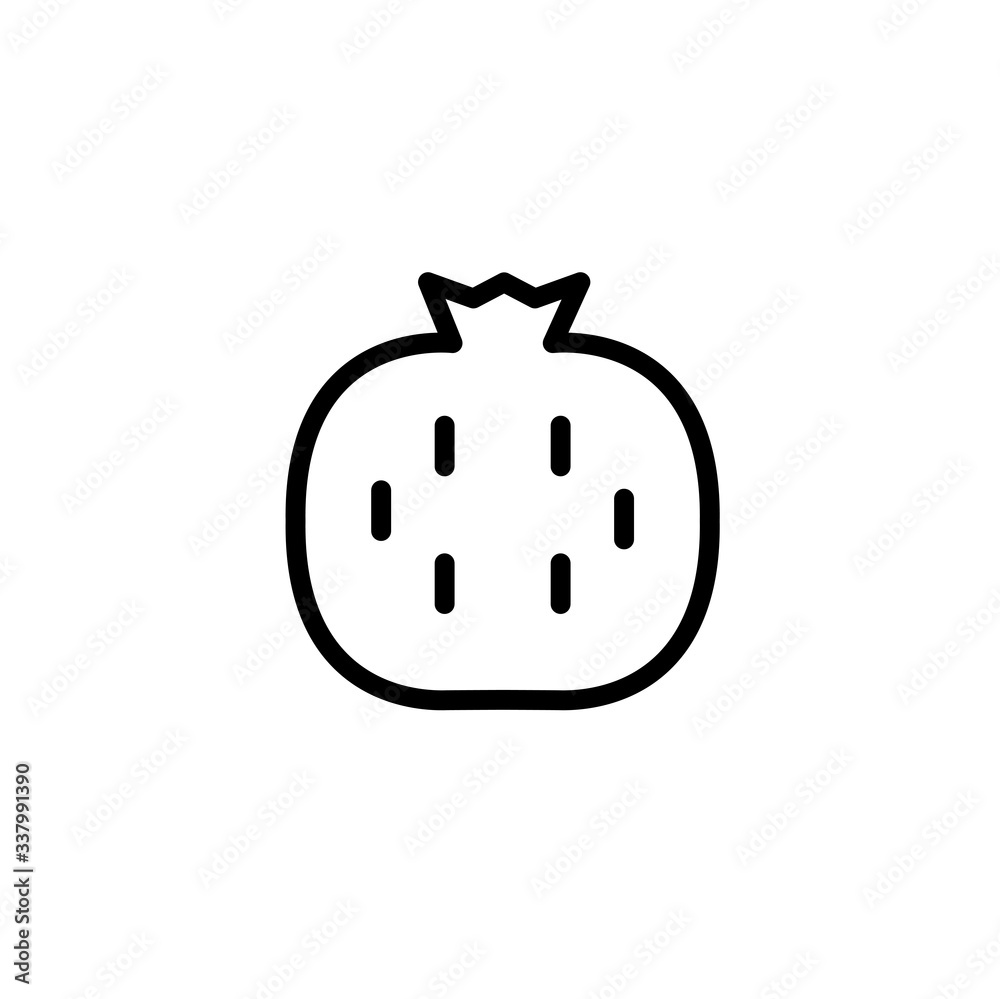 Obraz premium pomegranate icon vector