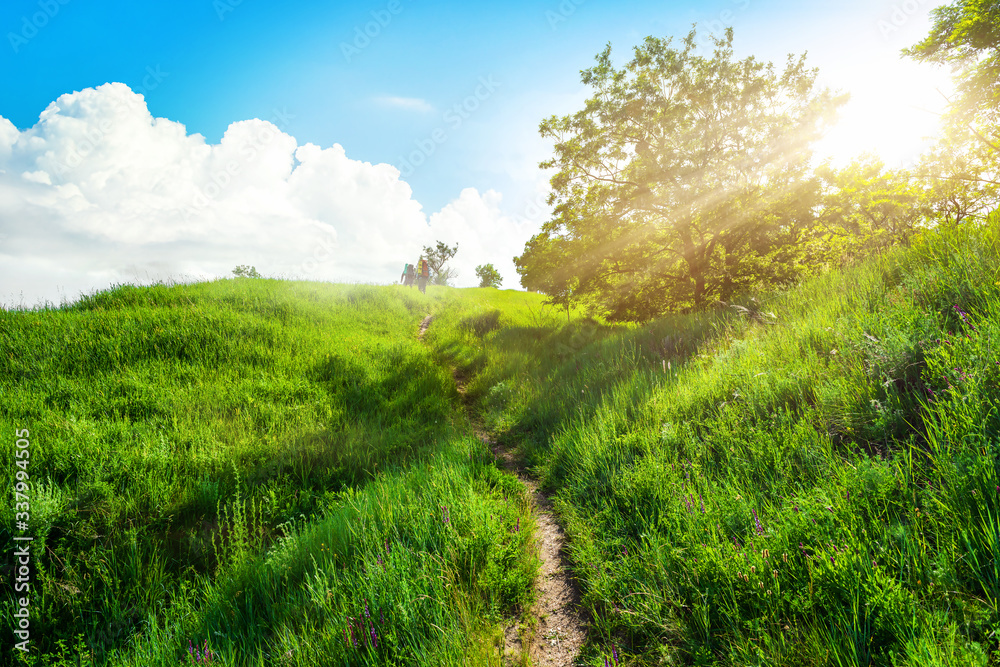 Fototapeta premium Footpath in the field
