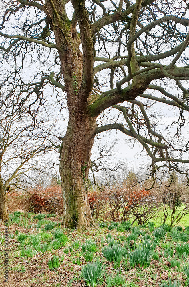 Fife Coastal Path, from North Queensferry to Burntisland - Scotland - UK