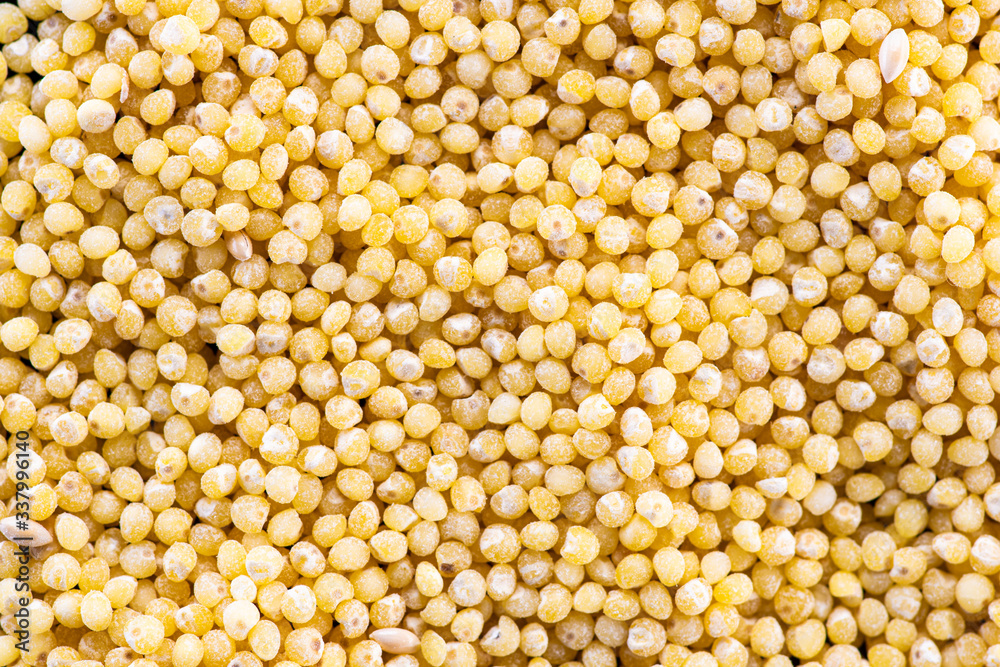 millet round yellow seeds on a black background millet round yellow seeds on a black background