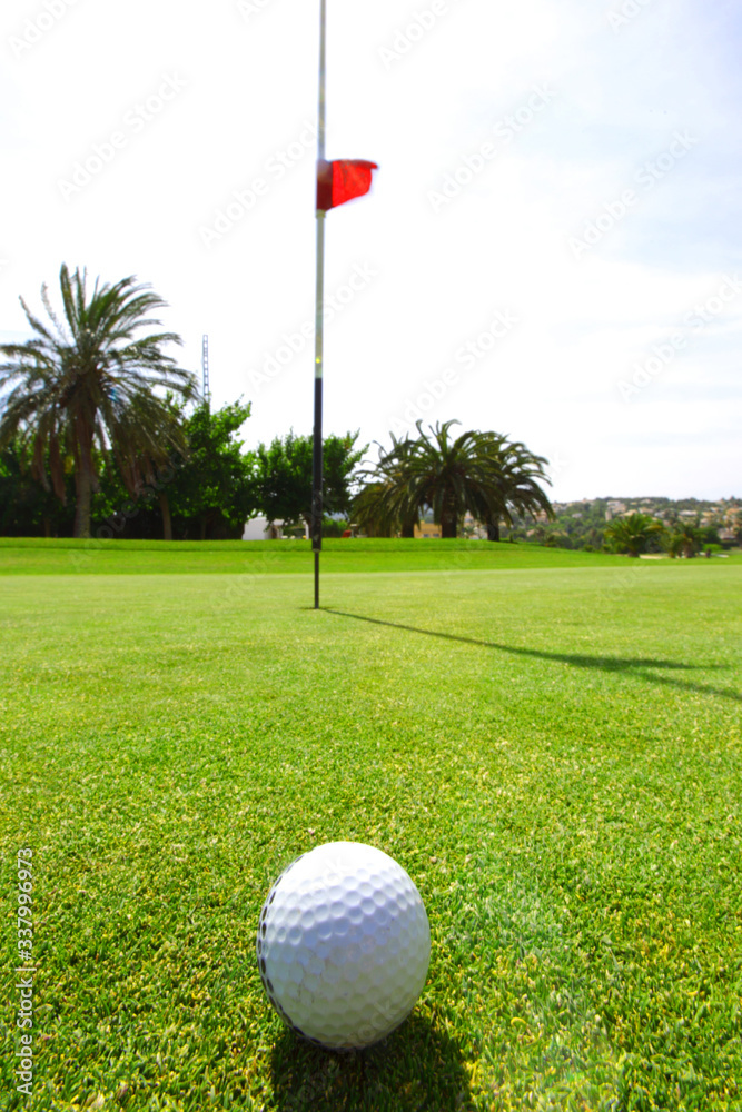 Obraz premium golf-ball on course