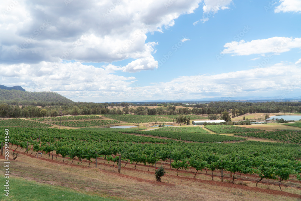 Hunter Valley Wine Region Australia. DRONE aerial view. Vineyards growing grapes for red wine. Green rolling hills. Dramatic landscape. Viticulture, scenic, drinking, growing concepts.