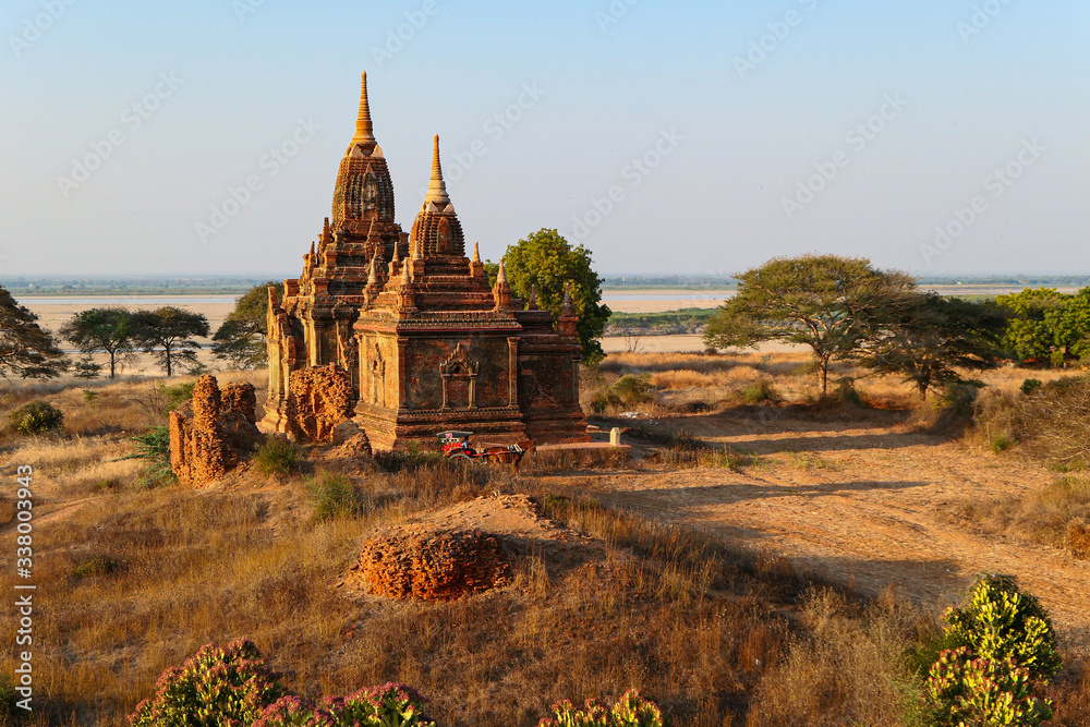 Myanmar pagoda near the green trees and yellow grass. Horse cab near the ancient temple.