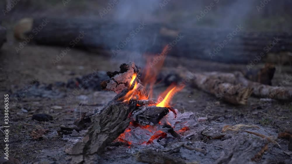Fire. Spring fire in the forest. In the evening, by the fire in a forest clearing. April. Fire. Spring fire in the forest. In the evening, by the fire in a forest clearing. April.