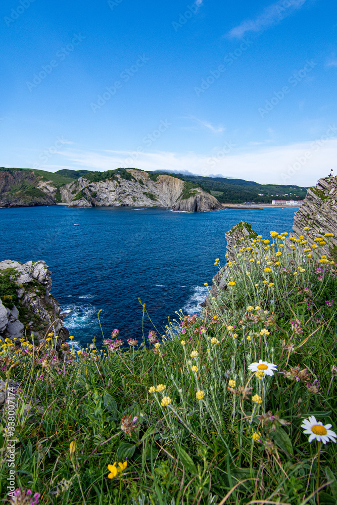 views of the sea with flowers in the foreground