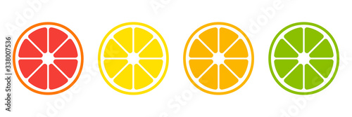 Citrus slices. Vector isolated icon. Tropical fruit isolated. Grapefruit orange lemon lime vector design. Citrus collection isolated on white background.