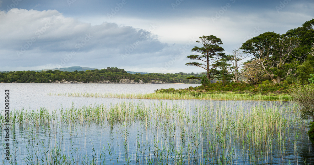 Panoramic view of a lake in Ireland with greenery and blue sky with clouds. Panoramic view of a lake in Ireland with greenery and blue sky with clouds.