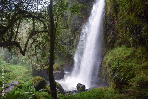 Scenic  waterfall in the forest in rural Kenya  Aberdare Ranges  Kenya