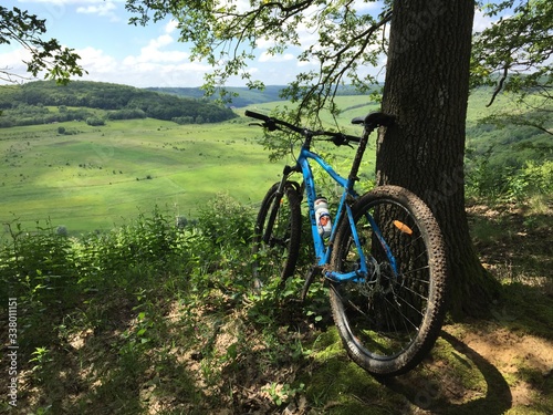 BIKE IN FOREST ROMANIA © David