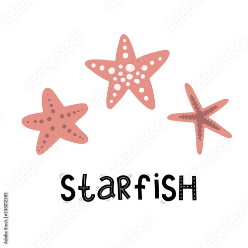 starfish and lettering set, sea ocean, vector illustration