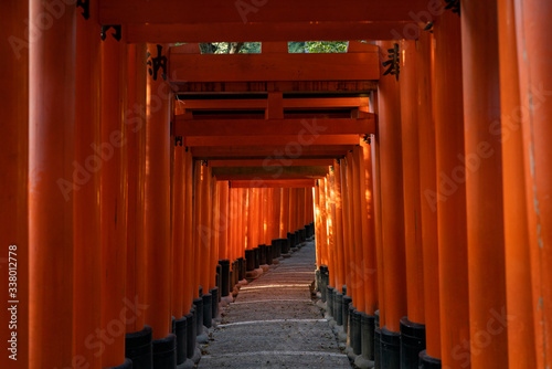 Fushimi inari taisha during the coronavirus crisit, 2020. photo