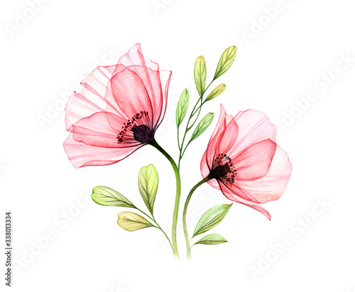 Watercolor Poppy bouquet. Two red flowers with leaves isolated on white. Hand painted illustration with detailed petals. Botanical illustration for cards  wedding design