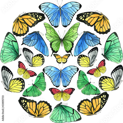 Watercolor spring composition with colored butterflies. Perfect for card making and  wedding invitations