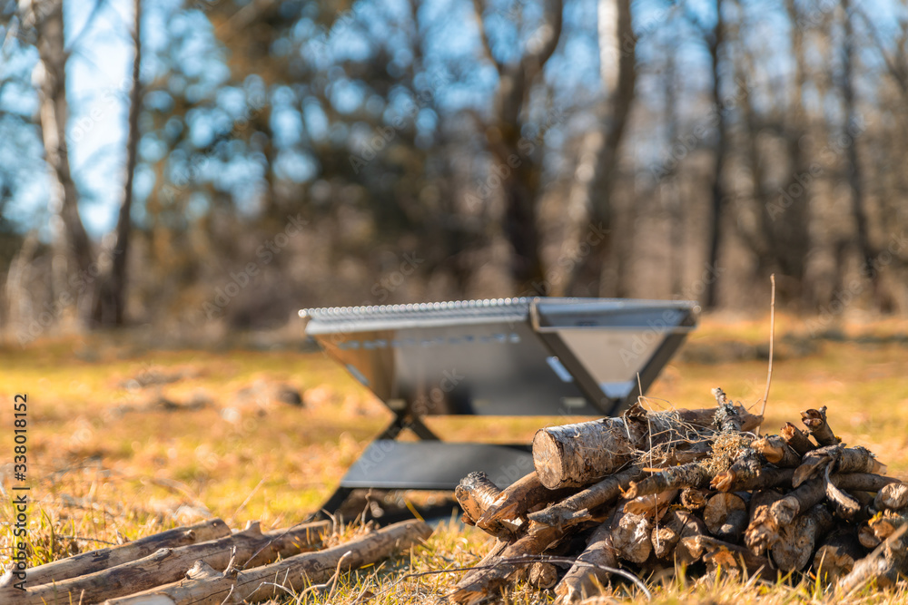 Firewood and a mobile firepit in the forest Firewood and a mobile firepit in the forest