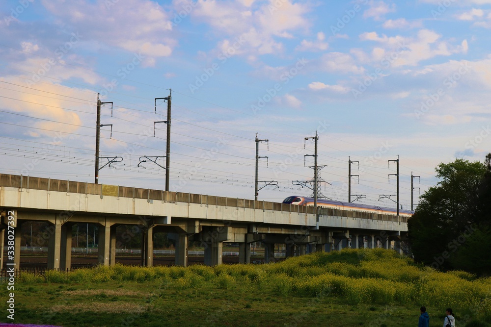 高架橋　新幹線　田舎　風景　杤木