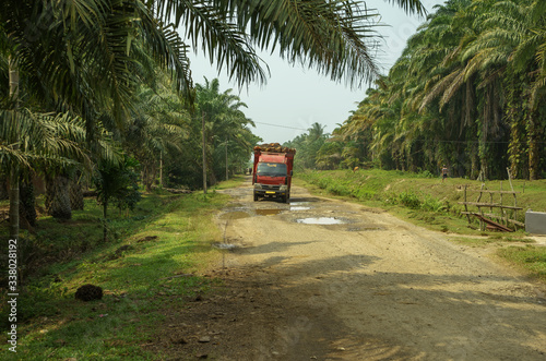 Red truck loaded with sawit palms riding gravel road seen in palm oil plantation in Bengkulu, Sumatra, Indonesia photo