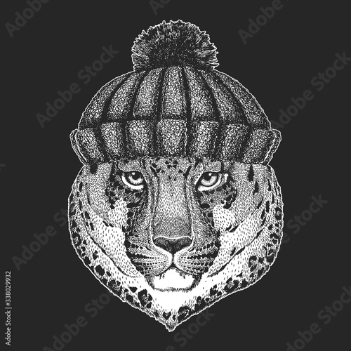 Leopard, jaguar face. Winter knitted hat. Portrait of wild animal.