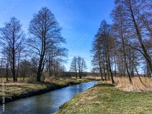 river in the park