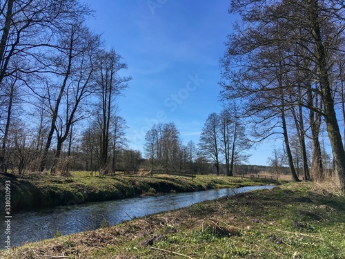 river in the forest