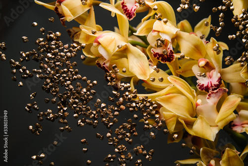 Gold dusting buckwheat with orchid on a black background