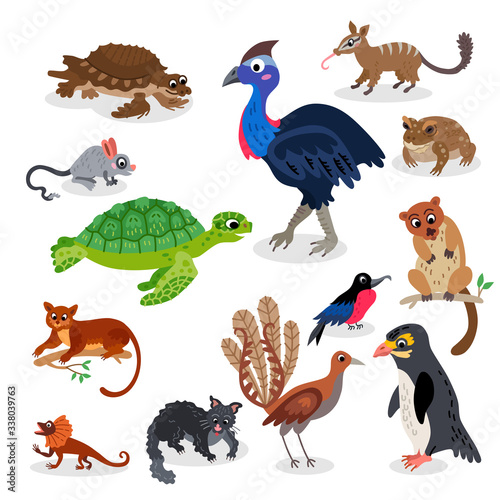 Wild Oceania animals set in flat style