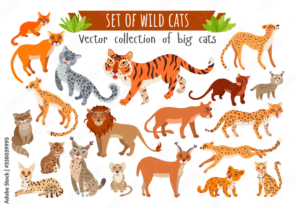 Set of wild cats. Vector cartoon exotic animals Stock Vector | Adobe Stock