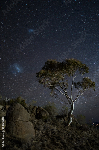 Cuadro en lienzo Large and Small magellanic clouds hovering over an Australian gum tree