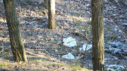 Fototapeta Naklejka Na Ścianę i Meble -  wiosna