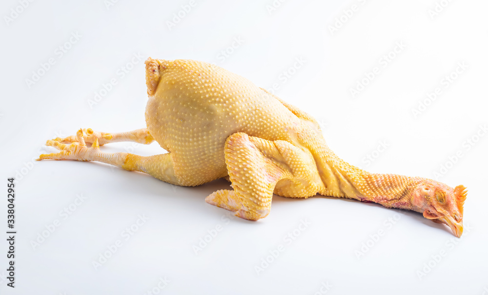 Fototapeta premium A fresh fat chicken on white background