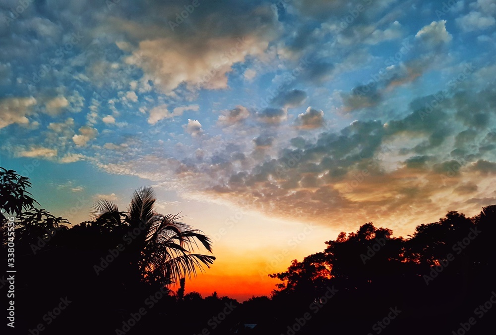 Naklejka premium sunset with palm trees