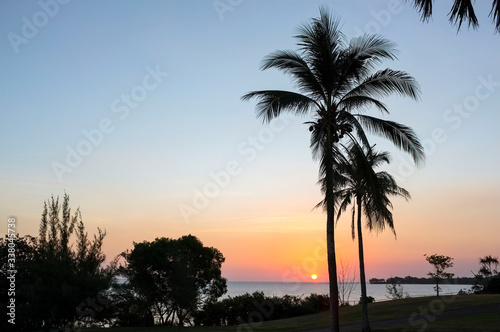 Fototapeta Silhouette Palm Trees Against Sky During Sunset