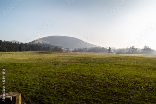 The vast natural scenery of horse ranch in Jeju Island  Korea