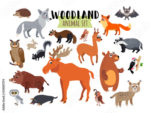 Woodland Forest Animals set isolated on white