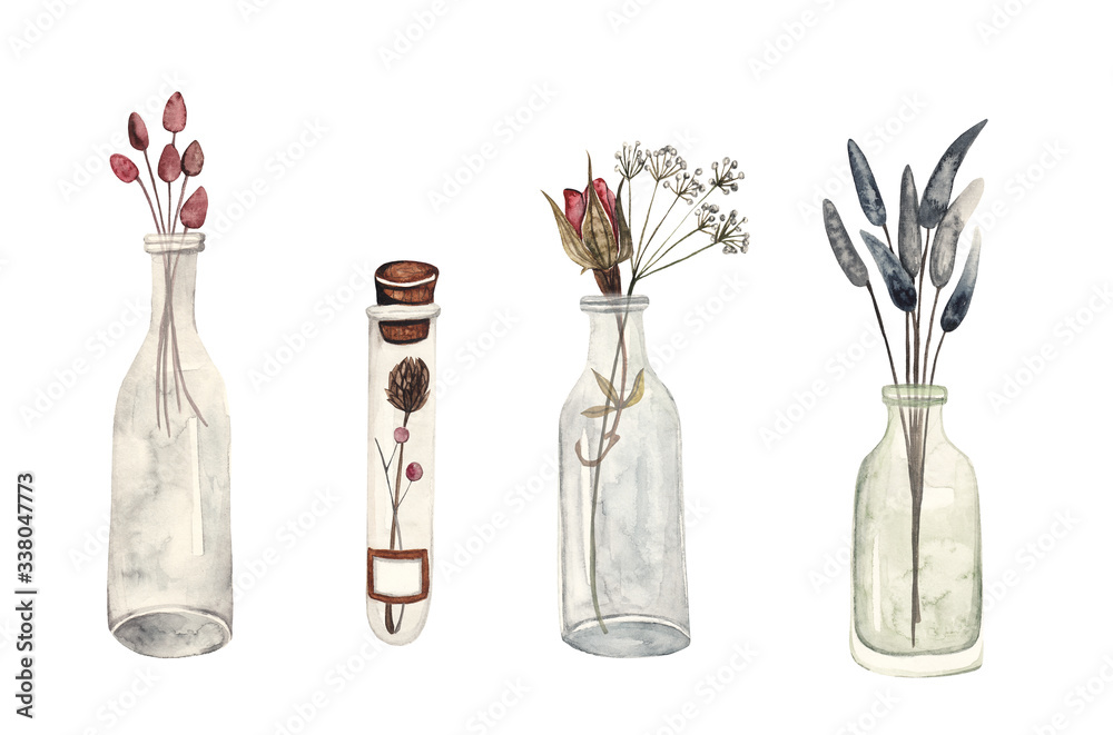 Summer herbarium. Dried flowers and plants in glass bottles, watercolor illustration on white isolated background Summer herbarium. Dried flowers and plants in glass bottles, watercolor illustration on white isolated background