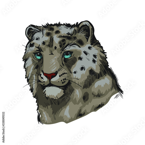 Snow leopard portrait in close up. Watercolor vector illustration of Panthera uncia. Mammal with thick fur, furry coat of cat. Uncia wild animal from Feline family. Catlike carnivore creature