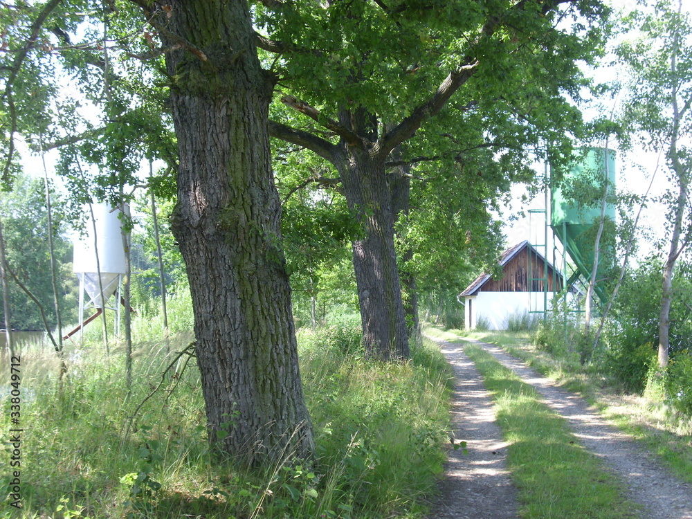 Trebon pond system - magical landscape of ponds, floodplain forests in south czechia