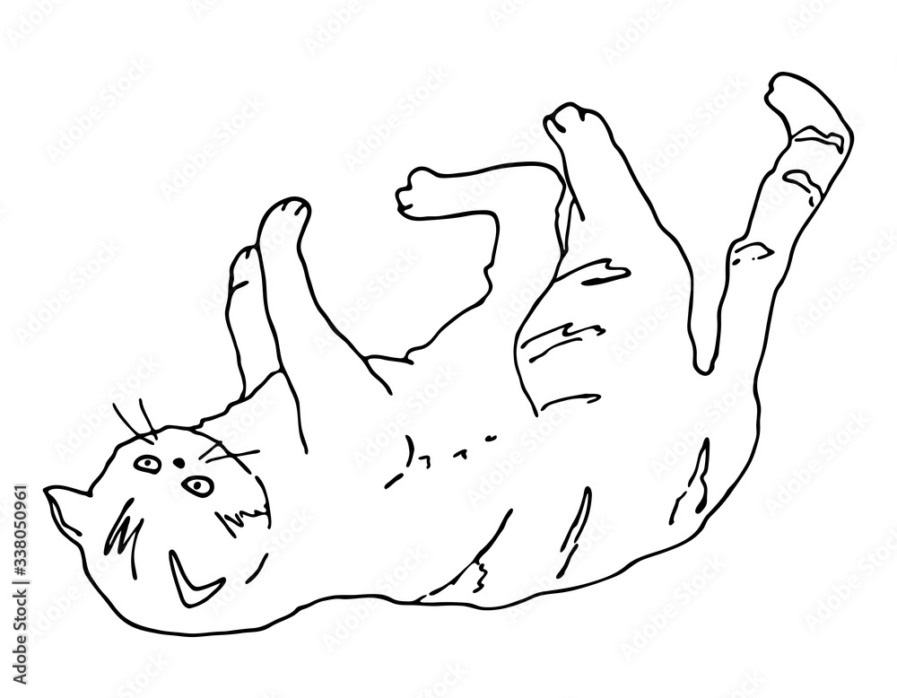 Outline cat playing. Hand drawn contour vector illustration. Cute ...