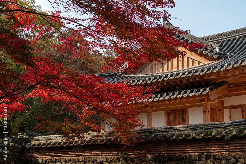 Autumn and Landscape of Naejang Temple in korea
