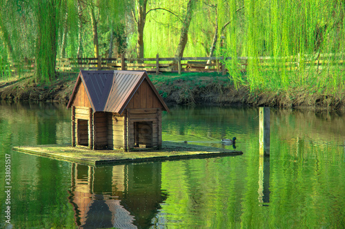 landscaping wooden cabin for birds float on small decor lake reservoir in spring vivid green park outdoor scenic view nature environment beautiful peaceful walk site