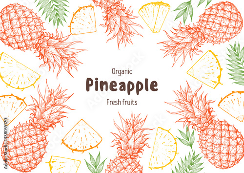 Pineappple hand drawn package design. Pineapple frame template. Vector illustration. Pineapple sketch for menu design, brochure illustration Ink design. Pattern illustration. Can used for package