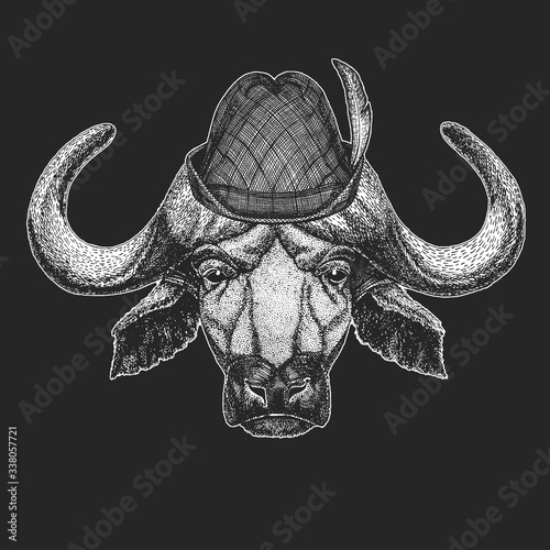 Portrait of buffalo, bison, bull, cow. Oktoberfest. Tirol traditional hat. Beer festival. Face of animal.