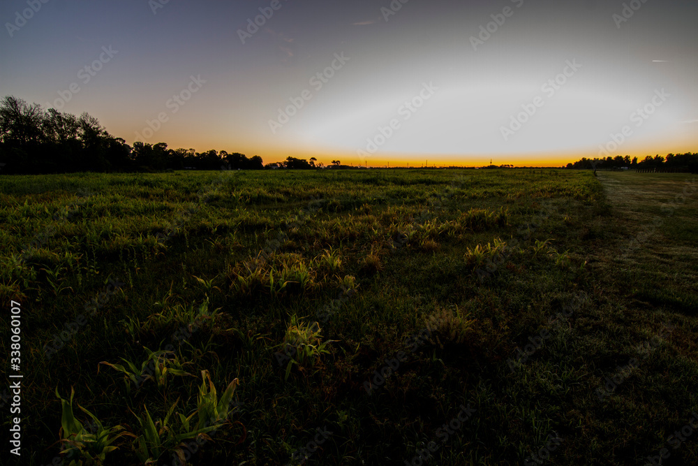 Fototapeta premium Sun rise at the fields 