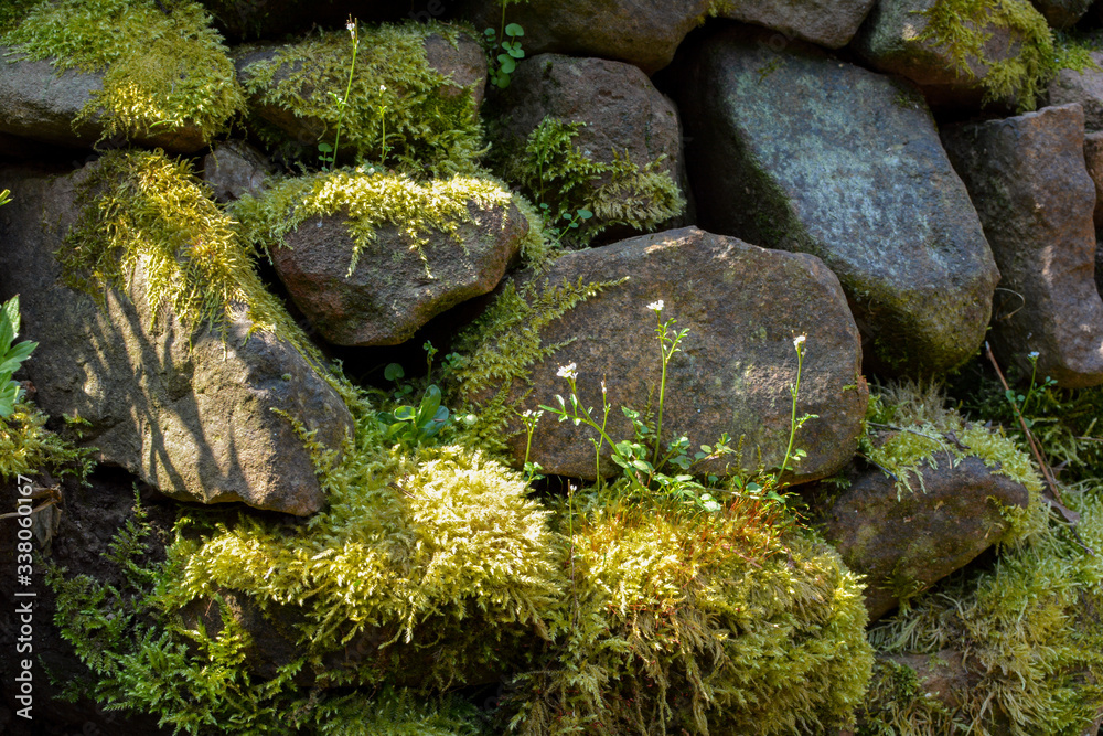 Mossy old stone wall