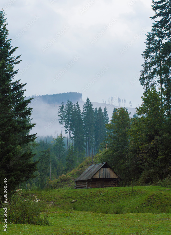 house in the mountains on the background of fir trees