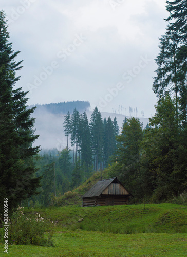 house in the mountains on the background of fir trees