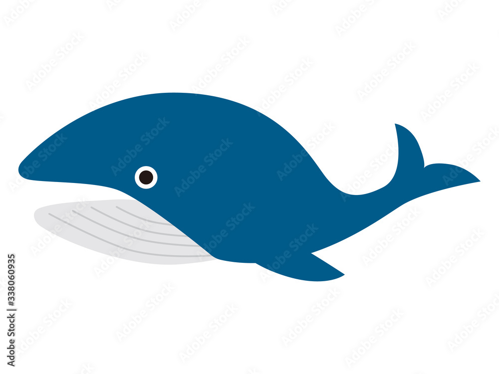 Fototapeta premium 素材＿くじら