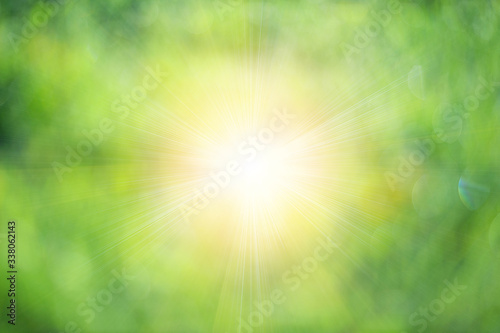 Natural green blurred background and yellow sun light.