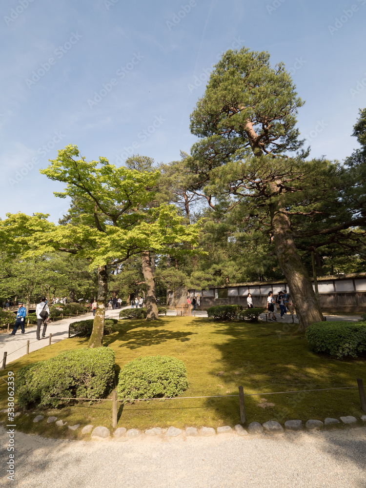 Jardines Kenrokuen, en Kanazawa, Japón